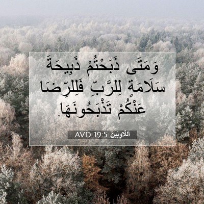 Picture 07 - اَللَّاوِيِّينَ 19:5 AVD - وَمَتَى ذَبَحْتُمْ - Bible Verse Picture