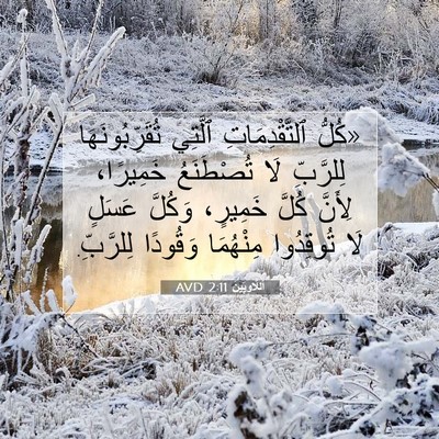 Picture 07 - اَللَّاوِيِّينَ 2:11 AVD - «كُلُّ ٱلتَّقْدِمَاتِ - Bible Verse Picture