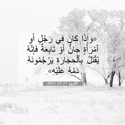 Picture 07 - اَللَّاوِيِّينَ 20:27 AVD - «وَإِذَا كَانَ فِي رَجُلٍ - Bible Verse Picture