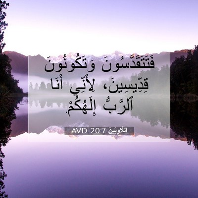 Picture 07 - اَللَّاوِيِّينَ 20:7 AVD - فَتَتَقَدَّسُونَ - Bible Verse Picture