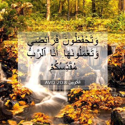 Picture 07 - اَللَّاوِيِّينَ 20:8 AVD - وَتَحْفَظُونَ فَرَائِضِي - Bible Verse Picture