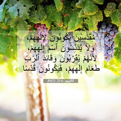 Picture 07 - اَللَّاوِيِّينَ 21:6 AVD - مُقَدَّسِينَ يَكُونُونَ - Bible Verse Picture