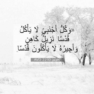 Picture 07 - اَللَّاوِيِّينَ 22:10 AVD - «وَكُلُّ أَجْنَبِيٍّ لَا - Bible Verse Picture