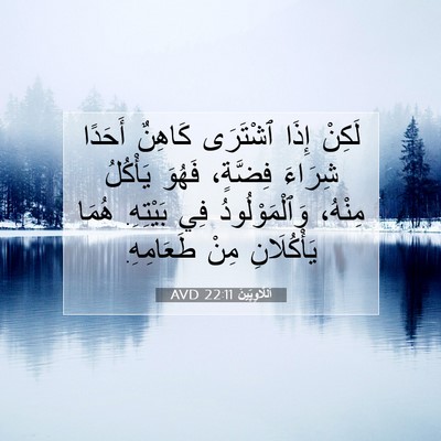 Picture 07 - اَللَّاوِيِّينَ 22:11 AVD - لَكِنْ إِذَا ٱشْتَرَى - Bible Verse Picture