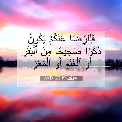 Picture 07 - اَللَّاوِيِّينَ 22:19 AVD - فَلِلرِّضَا عَنْكُمْ - Bible Verse Picture