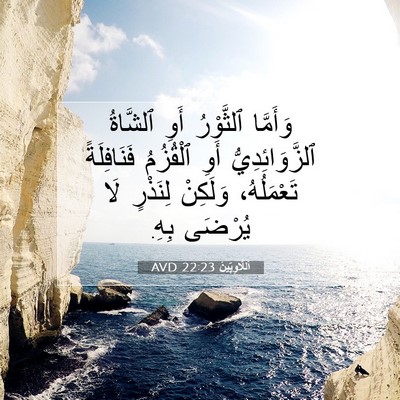 Picture 07 - اَللَّاوِيِّينَ 22:23 AVD - وَأَمَّا ٱلثَّوْرُ أَوِ - Bible Verse Picture