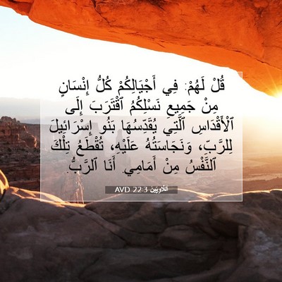 Picture 07 - اَللَّاوِيِّينَ 22:3 AVD - قُلْ لَهُمْ: فِي - Bible Verse Picture