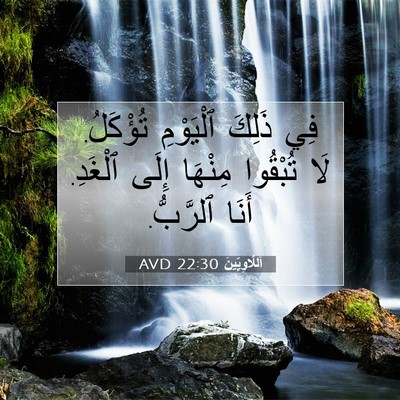 Picture 07 - اَللَّاوِيِّينَ 22:30 AVD - فِي ذَلِكَ ٱلْيَوْمِ - Bible Verse Picture