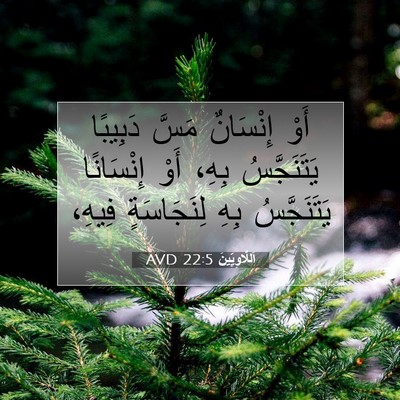 Picture 07 - اَللَّاوِيِّينَ 22:5 AVD - أَوْ إِنْسَانٌ مَسَّ - Bible Verse Picture
