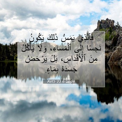 Picture 07 - اَللَّاوِيِّينَ 22:6 AVD - فَٱلَّذِي يَمَسُّ ذَلِكَ - Bible Verse Picture