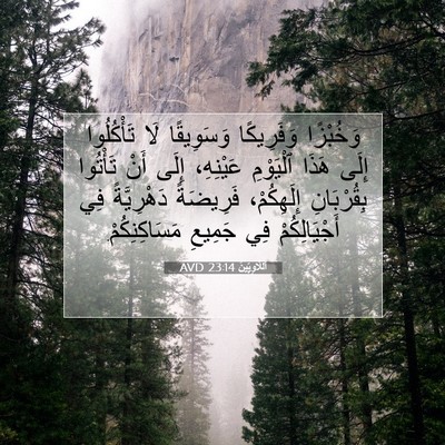 Picture 07 - اَللَّاوِيِّينَ 23:14 AVD - وَخُبْزًا وَفَرِيكًا - Bible Verse Picture