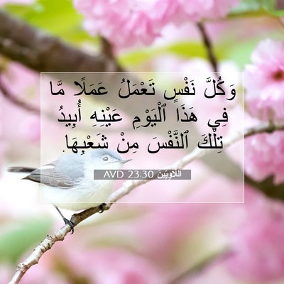 Picture 07 - اَللَّاوِيِّينَ 23:30 AVD - وَكُلَّ نَفْسٍ تَعْمَلُ - Bible Verse Picture