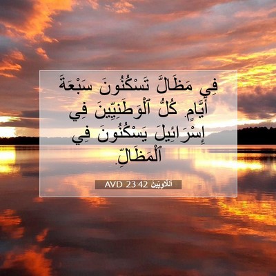 Picture 07 - اَللَّاوِيِّينَ 23:42 AVD - فِي مَظَالَّ تَسْكُنُونَ - Bible Verse Picture