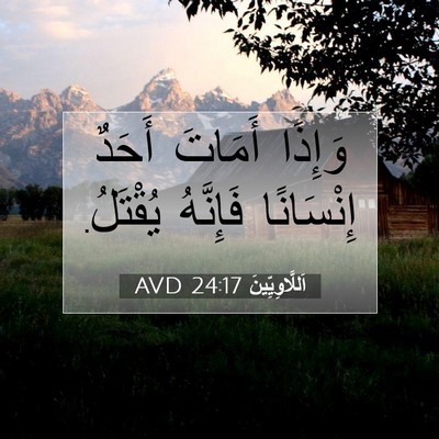Picture 07 - اَللَّاوِيِّينَ 24:17 AVD - وَإِذَا أَمَاتَ أَحَدٌ - Bible Verse Picture