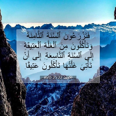Picture 07 - اَللَّاوِيِّينَ 25:22 AVD - فَتَزْرَعُونَ ٱلسَّنَةَ - Bible Verse Picture