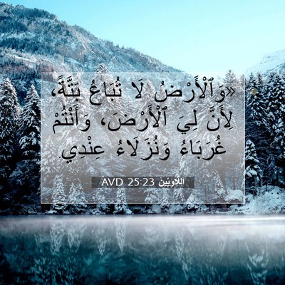 Picture 07 - اَللَّاوِيِّينَ 25:23 AVD - «وَٱلْأَرْضُ لَا تُبَاعُ - Bible Verse Picture