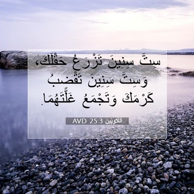 Picture 07 - اَللَّاوِيِّينَ 25:3 AVD - سِتَّ سِنِينَ تَزْرَعُ - Bible Verse Picture