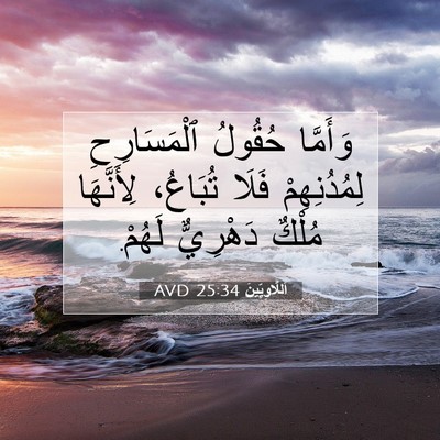 Picture 07 - اَللَّاوِيِّينَ 25:34 AVD - وَأَمَّا حُقُولُ - Bible Verse Picture