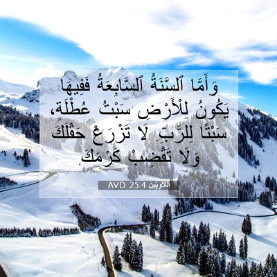 Picture 07 - اَللَّاوِيِّينَ 25:4 AVD - وَأَمَّا ٱلسَّنَةُ - Bible Verse Picture