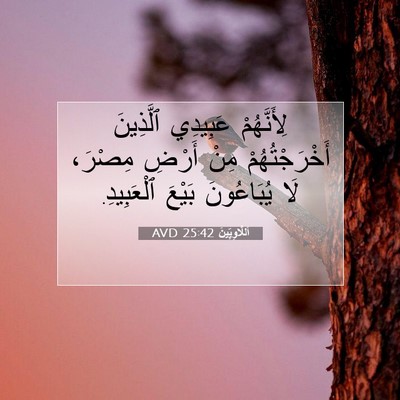 Picture 07 - اَللَّاوِيِّينَ 25:42 AVD - لِأَنَّهُمْ عَبِيدِي - Bible Verse Picture