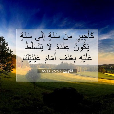 Picture 07 - اَللَّاوِيِّينَ 25:53 AVD - كَأَجِيرٍ مِنْ سَنَةٍ - Bible Verse Picture