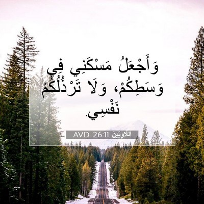 Picture 07 - اَللَّاوِيِّينَ 26:11 AVD - وَأَجْعَلُ مَسْكَنِي فِي - Bible Verse Picture
