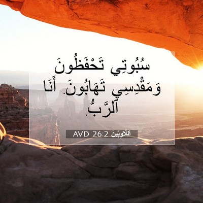 Picture 07 - اَللَّاوِيِّينَ 26:2 AVD - سُبُوتِي تَحْفَظُونَ - Bible Verse Picture