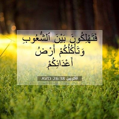 Picture 07 - اَللَّاوِيِّينَ 26:38 AVD - فَتَهْلِكُونَ بَيْنَ - Bible Verse Picture