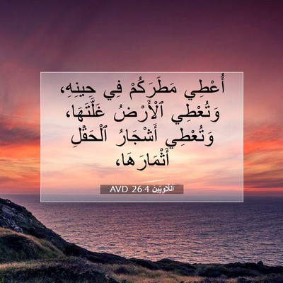 Picture 07 - اَللَّاوِيِّينَ 26:4 AVD - أُعْطِي مَطَرَكُمْ فِي - Bible Verse Picture