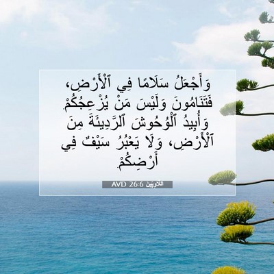 Picture 07 - اَللَّاوِيِّينَ 26:6 AVD - وَأَجْعَلُ سَلَامًا فِي - Bible Verse Picture