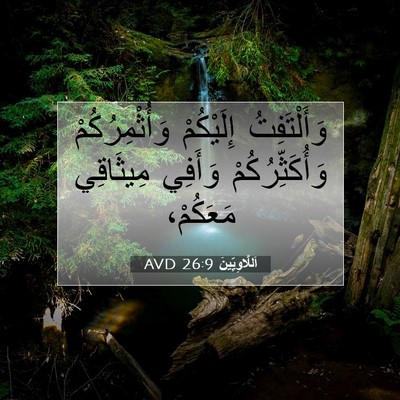 Picture 07 - اَللَّاوِيِّينَ 26:9 AVD - وَأَلْتَفِتُ إِلَيْكُمْ - Bible Verse Picture