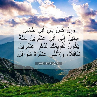 Picture 07 - اَللَّاوِيِّينَ 27:5 AVD - وَإِنْ كَانَ مِنِ ٱبْنِ - Bible Verse Picture