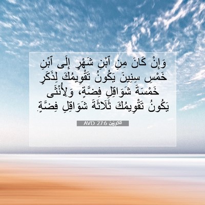 Picture 07 - اَللَّاوِيِّينَ 27:6 AVD - وَإِنْ كَانَ مِنِ ٱبْنِ - Bible Verse Picture