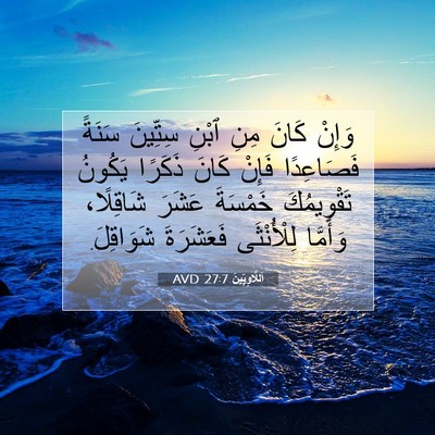 Picture 07 - اَللَّاوِيِّينَ 27:7 AVD - وَإِنْ كَانَ مِنِ ٱبْنِ - Bible Verse Picture