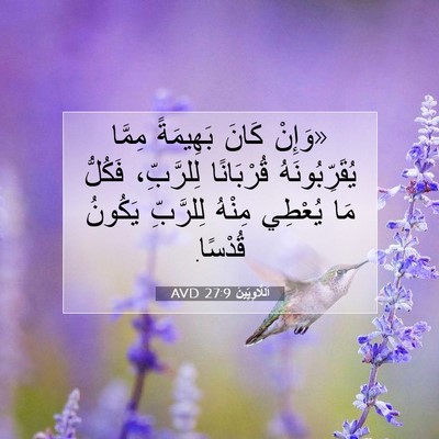 Picture 07 - اَللَّاوِيِّينَ 27:9 AVD - «وَإِنْ كَانَ بَهِيمَةً - Bible Verse Picture