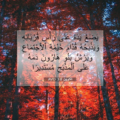 Picture 07 - اَللَّاوِيِّينَ 3:8 AVD - يَضَعُ يَدَهُ عَلَى رَأْسِ - Bible Verse Picture