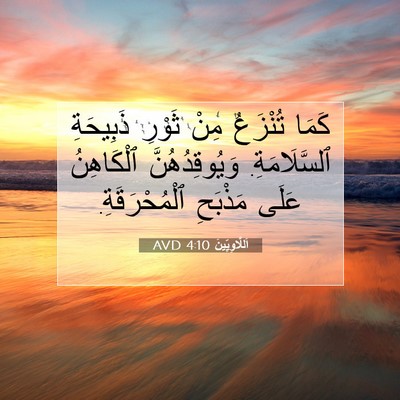 Picture 07 - اَللَّاوِيِّينَ 4:10 AVD - كَمَا تُنْزَعُ مِنْ ثَوْرِ - Bible Verse Picture