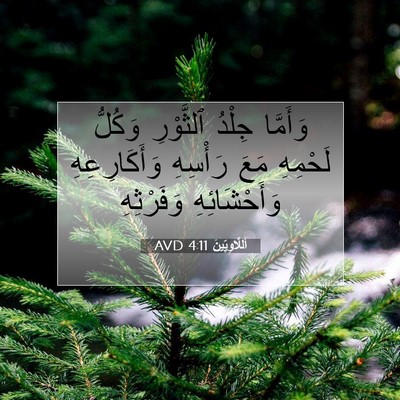 Picture 07 - اَللَّاوِيِّينَ 4:11 AVD - وَأَمَّا جِلْدُ ٱلثَّوْرِ - Bible Verse Picture