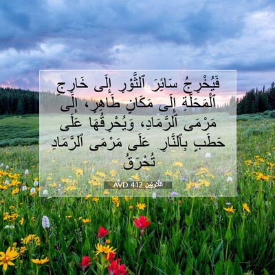 Picture 07 - اَللَّاوِيِّينَ 4:12 AVD - فَيُخْرِجُ سَائِرَ - Bible Verse Picture