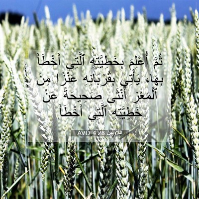 Picture 07 - اَللَّاوِيِّينَ 4:28 AVD - ثُمَّ أُعْلِمَ - Bible Verse Picture