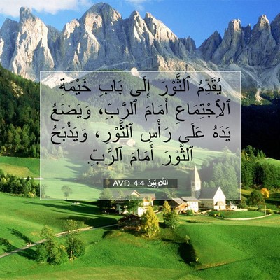 Picture 07 - اَللَّاوِيِّينَ 4:4 AVD - يُقَدِّمُ ٱلثَّوْرَ إِلَى - Bible Verse Picture