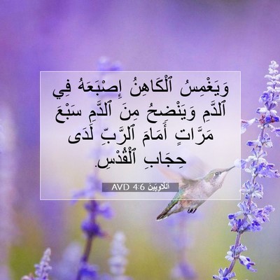 Picture 07 - اَللَّاوِيِّينَ 4:6 AVD - وَيَغْمِسُ ٱلْكَاهِنُ - Bible Verse Picture