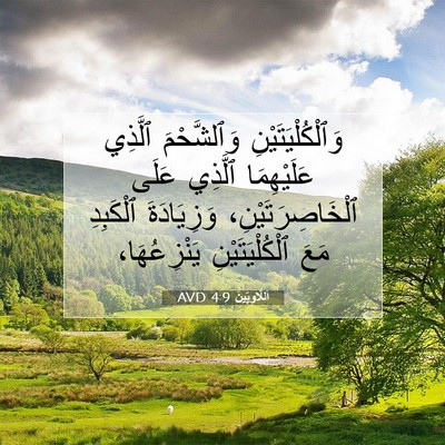 Picture 07 - اَللَّاوِيِّينَ 4:9 AVD - وَٱلْكُلْيَتَيْنِ - Bible Verse Picture
