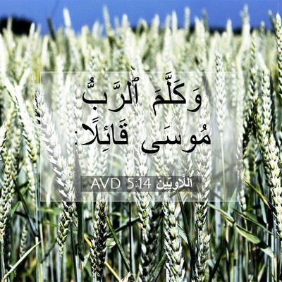Picture 07 - اَللَّاوِيِّينَ 5:14 AVD - وَكَلَّمَ ٱلرَّبُّ مُوسَى - Bible Verse Picture