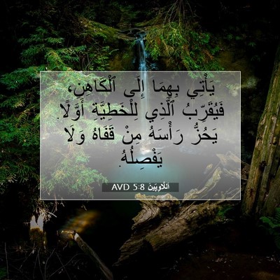 Picture 07 - اَللَّاوِيِّينَ 5:8 AVD - يَأْتِي بِهِمَا إِلَى - Bible Verse Picture