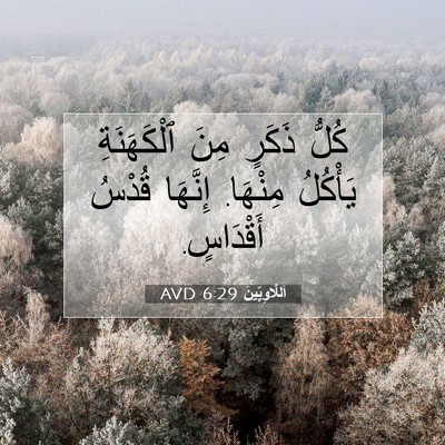 Picture 07 - اَللَّاوِيِّينَ 6:29 AVD - كُلُّ ذَكَرٍ مِنَ - Bible Verse Picture