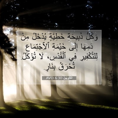 Picture 07 - اَللَّاوِيِّينَ 6:30 AVD - وَكُلُّ ذَبِيحَةِ - Bible Verse Picture