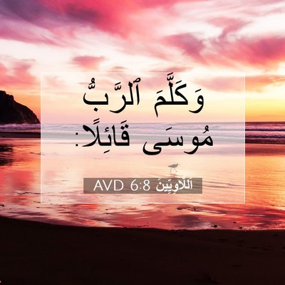 Picture 07 - اَللَّاوِيِّينَ 6:8 AVD - وَكَلَّمَ ٱلرَّبُّ مُوسَى - Bible Verse Picture