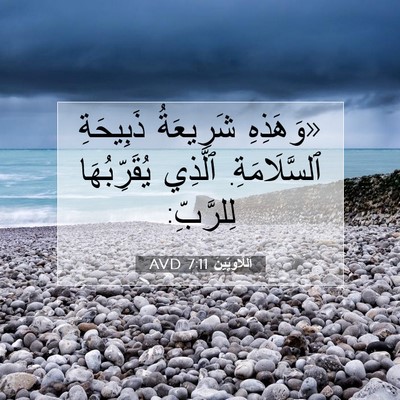 Picture 07 - اَللَّاوِيِّينَ 7:11 AVD - «وَهَذِهِ شَرِيعَةُ - Bible Verse Picture