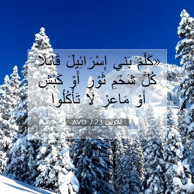 Picture 07 - اَللَّاوِيِّينَ 7:23 AVD - «كَلِّمْ بَنِي - Bible Verse Picture